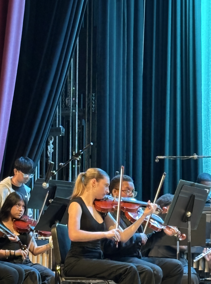 Charlotte Frizziola plays the violin.